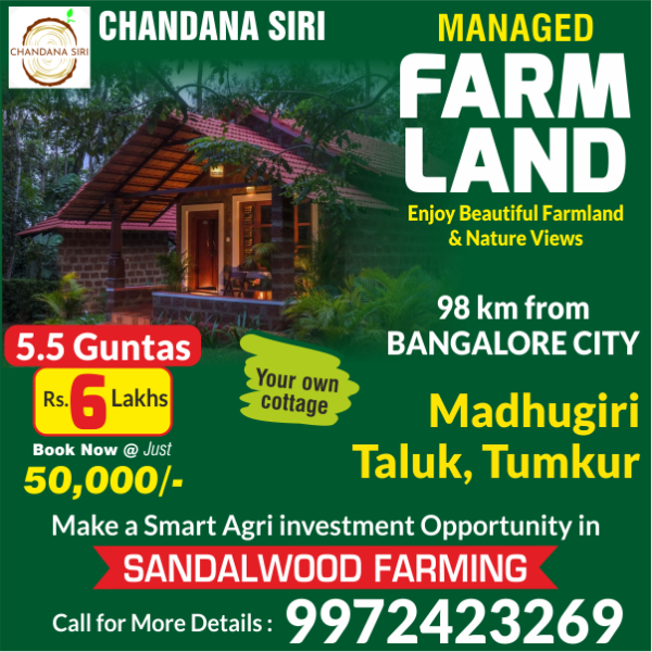 Karnataka Sandal Plants Nursery - Contact for Sandalwood Farming! | Facebook